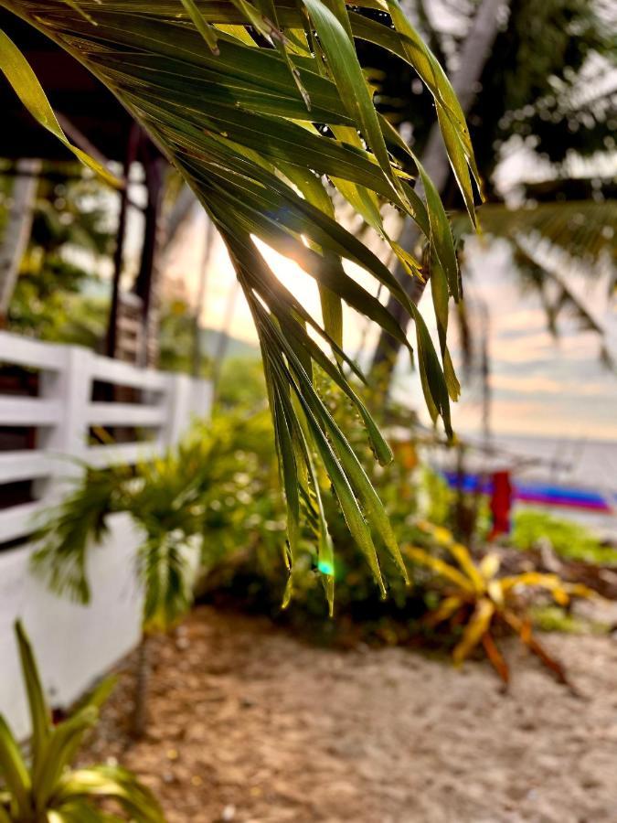 Amami Beachfront Villa With Private Beach Puerto Galera Exterior foto