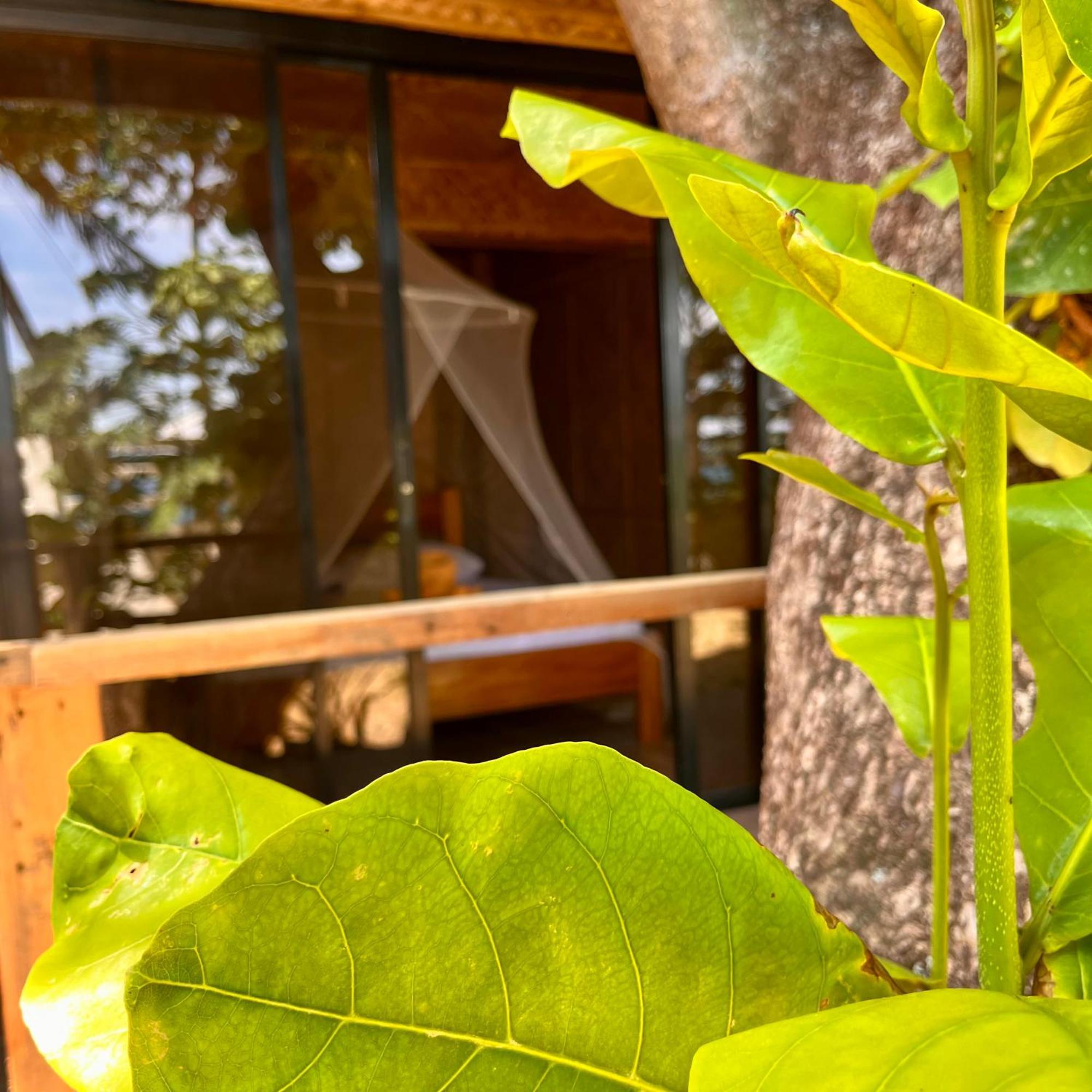 Amami Beachfront Villa With Private Beach Puerto Galera Exterior foto